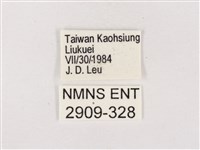 嫵琉灰蝶藏品圖，第3張