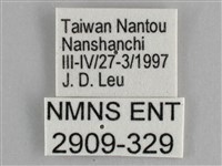 圓翅紫斑蝶藏品圖，第3張