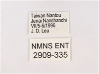 嫵琉灰蝶藏品圖，第3張
