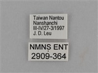 臺灣絹蛺蝶藏品圖，第3張