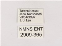 嫵琉灰蝶藏品圖，第3張