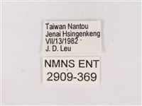 碧翠灰蝶藏品圖，第3張