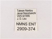 嫵琉灰蝶藏品圖，第3張