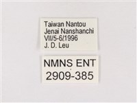 嫵琉灰蝶藏品圖，第3張