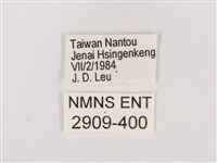 碧翠灰蝶藏品圖，第3張