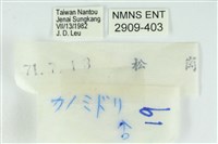 黃閃翠灰蝶藏品圖，第3張