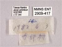 田中洒灰蝶藏品圖，第3張
