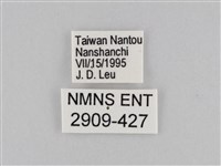 褐翅蔭眼蝶藏品圖，第3張