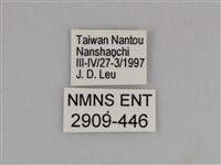 臺灣絹蛺蝶藏品圖，第3張