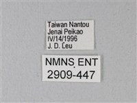 異粉蝶、雌白黃蝶藏品圖，第3張