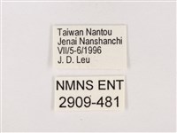 嫵琉灰蝶藏品圖，第3張
