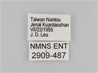 褐翅蔭眼蝶藏品圖，第3張