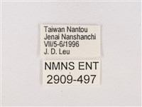 嫵琉灰蝶藏品圖，第3張