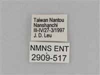 異紋紫斑蝶藏品圖，第3張