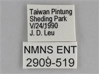 遷粉蝶、淡黃蝶藏品圖，第3張