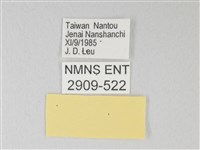 青珈波灰蝶藏品圖，第3張