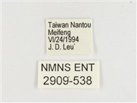 窄帶翠蛺蝶藏品圖，第3張