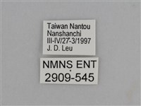 臺灣絹蛺蝶藏品圖，第3張