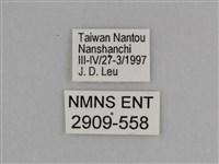 臺灣絹蛺蝶藏品圖，第3張