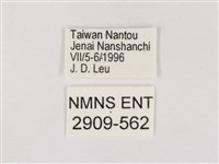 嫵琉灰蝶藏品圖，第3張