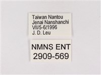 嫵琉灰蝶藏品圖，第3張