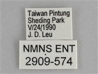 遷粉蝶、淡黃蝶藏品圖，第3張