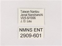 嫵琉灰蝶藏品圖，第3張