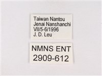 嫵琉灰蝶藏品圖，第3張