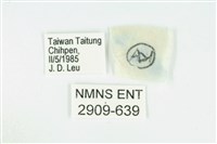 臺灣玄灰蝶藏品圖，第3張