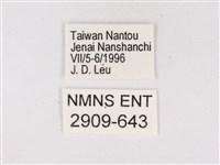 嫵琉灰蝶藏品圖，第3張