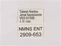 嫵琉灰蝶藏品圖，第3張