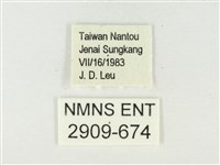 青雀斑灰蝶藏品圖，第3張