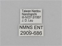 臺灣絹蛺蝶藏品圖，第3張
