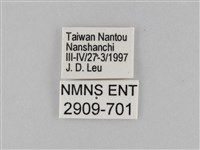 雙標紫斑蝶藏品圖，第3張