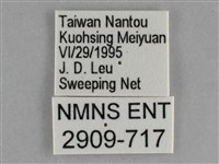 琉璃蛺蝶藏品圖，第3張