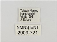 碎紋孔弄蝶藏品圖，第3張