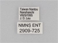 小波眼蝶藏品圖，第3張