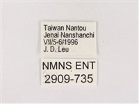 嫵琉灰蝶藏品圖，第3張