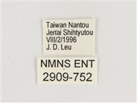 暮眼蝶、樹蔭蝶藏品圖，第3張