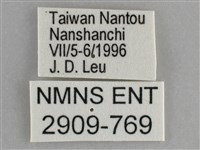 琉璃蛺蝶藏品圖，第3張