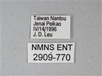 異粉蝶、雌白黃蝶藏品圖，第3張