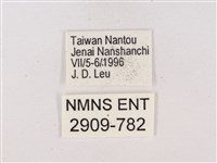 嫵琉灰蝶藏品圖，第3張