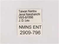 嫵琉灰蝶藏品圖，第3張