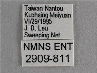 散紋盛蛺蝶藏品圖，第3張