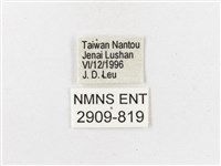 黃斑蔭眼蝶藏品圖，第3張