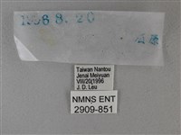 黑星弄蝶藏品圖，第3張