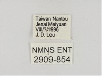 奇萊禪弄蝶藏品圖，第3張