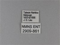 玄珠帶蛺蝶藏品圖，第3張