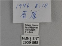 竹橙斑弄蝶藏品圖，第3張