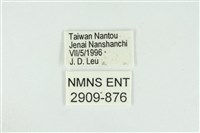 東方喙蝶藏品圖，第3張
